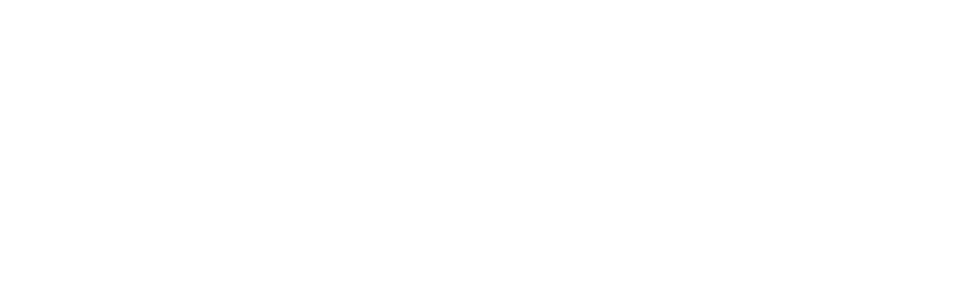 Stapler Center PIECKERT